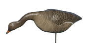 Bean Goose Decoy - Feeding