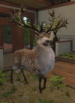 Great One | TheHunter: Call of the Wild Wiki | Fandom