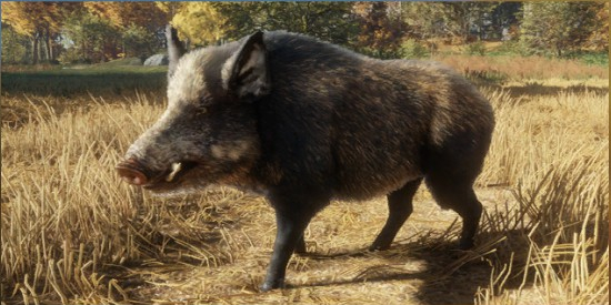 thehunter call of the wild boar location thehunter call of the wild boar location
