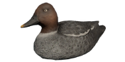 Goldeneye Decoy - Hen