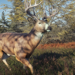 The Hunter, TheHunter: Call of the Wild Wiki