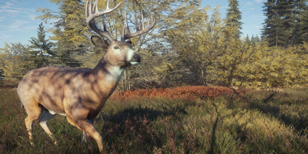 Moose, TheHunter: Call of the Wild Wiki