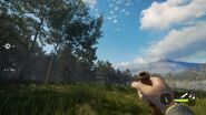 In-Game Perspective