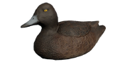 Tufted Duck Decoy - Hen