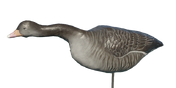 Greylag Goose Decoy - Searching