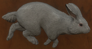European Rabbit | TheHunter: Call of the Wild Wiki | Fandom