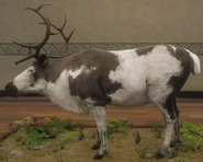 Piebald - Left Side