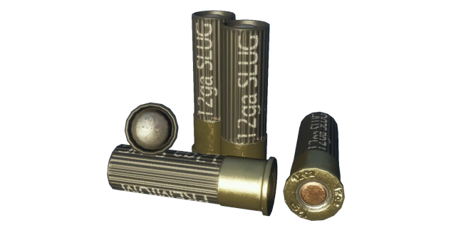 12 gauge shotgun slug