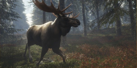 Moose, TheHunter: Call of the Wild Wiki