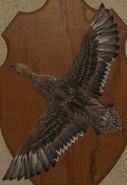 Brown - Back