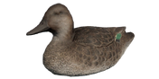 Eurasian Teal Decoy - Hen