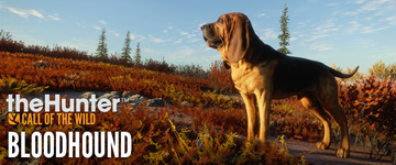 Blood hunter dog shop