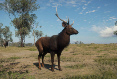 Banteng, TheHunter: Call of the Wild Wiki