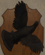Melanistic - Back