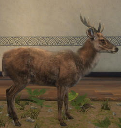 Banteng, TheHunter: Call of the Wild Wiki