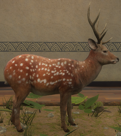 Sika Deer | TheHunter: Call of the Wild Wiki | Fandom