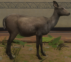 A deer / 鹿 Yezo sika deer - Wikipedia