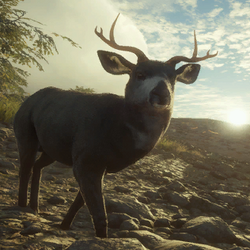 Banteng, TheHunter: Call of the Wild Wiki