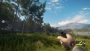 In-Game Perspective