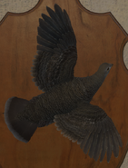 Grey Brown - Back