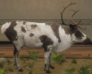 Piebald - Right Side