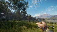 In-game perspective