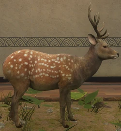 Sika Deer | TheHunter: Call of the Wild Wiki | Fandom