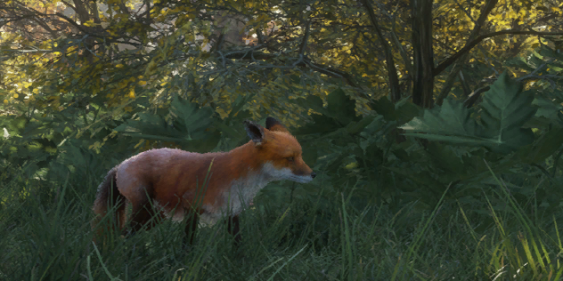 Red Fox | TheHunter: Call of the Wild Wiki | Fandom