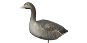 Greylag Goose Decoy - Sentry