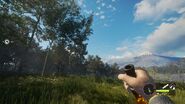 In-Game Perspective