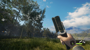 In-Game Perspective