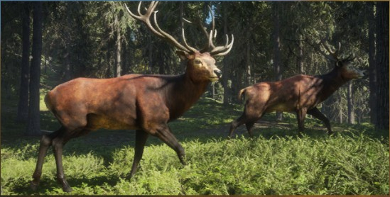 Red Deer Thehunter Call Of The Wild Wiki Fandom