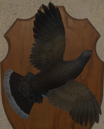 Brown - Back