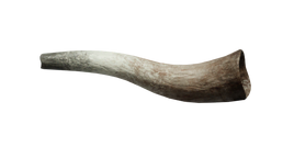 RedDeerCaller