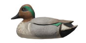Green-Winged Teal Decoy - Drake