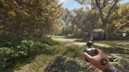 Ingame Perspective