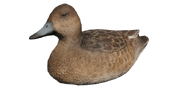 Eurasian Wigeon Decoy - Hen