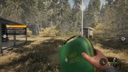 Ingame Perspective