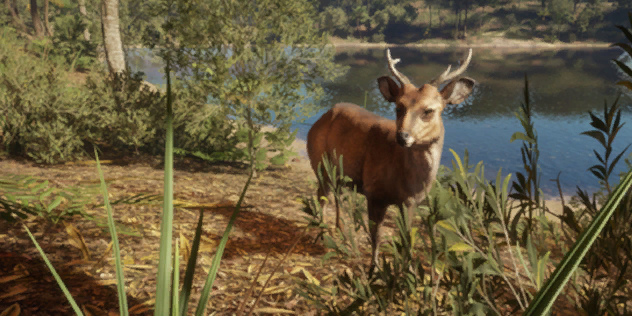 Banteng, TheHunter: Call of the Wild Wiki