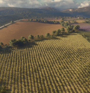 A Farming Lagacy People have been farming on this land since long before records were kept. With the natural abundance of wildlife, there was little need for cattle, but a variety of grains were farmed here. And the shepherds and goatherds were here long before the Romans arrived.