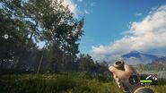 In-Game Perspective