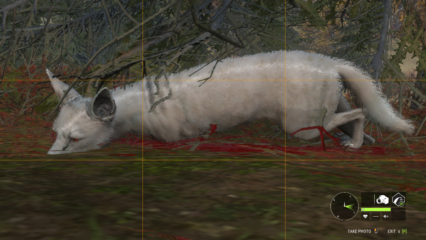 thehunter call of the wild coyote thehunter call of the wild coyote