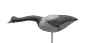 Magpie Goose Decoy - Searching