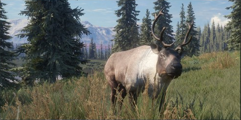 Caribou Thehunter Call Of The Wild Wiki Fandom