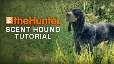 Dog_tutorial_-_Scent_Hounds