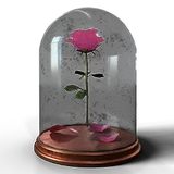 Valentine event 2018 bronze