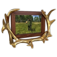 Midsummer 2021 mission