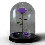 Valentine event 2018 hematite