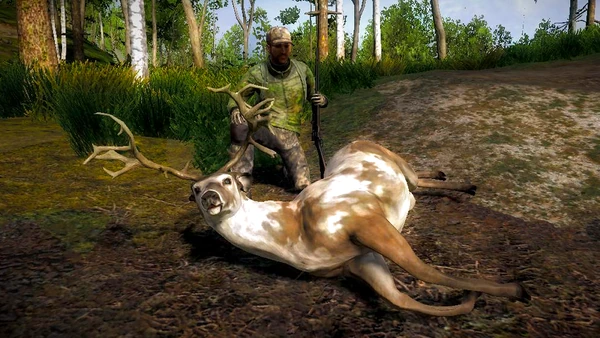 Franek12 piebald nt whitetail 153