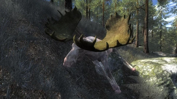 Vlieger 208 Albino Moose